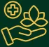Personalized Treatment protocols & Plans